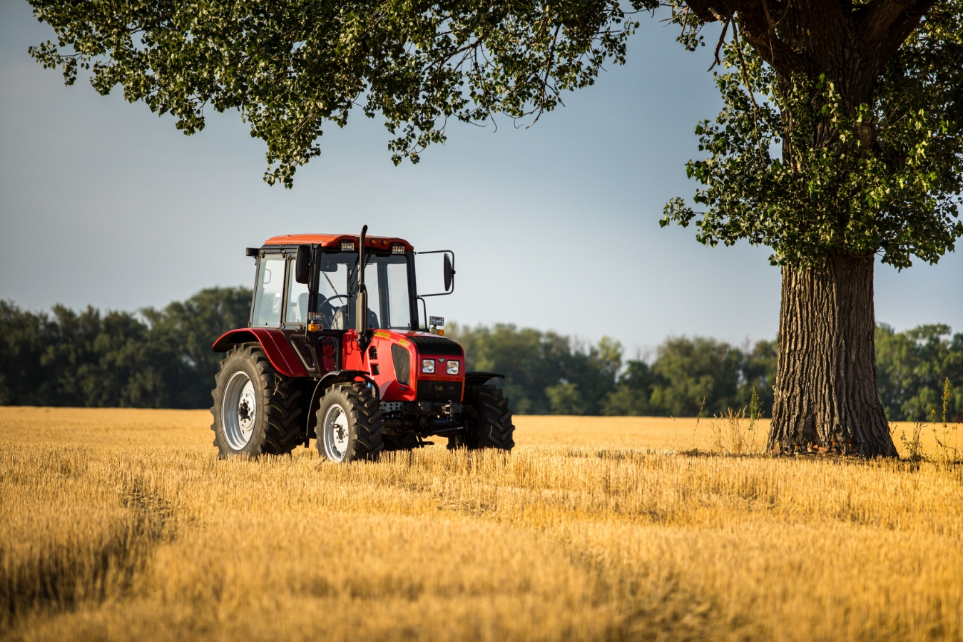 MTZ photo - image 8