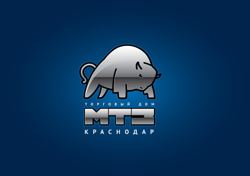 MTZ Krasnodar - image 3