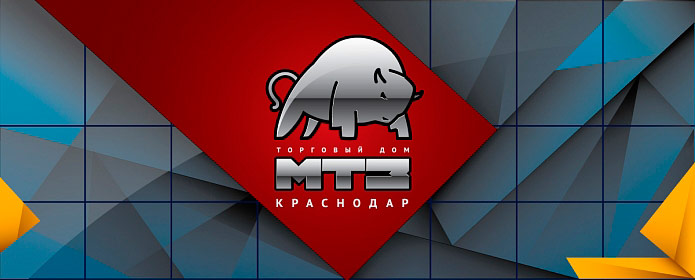 MTZ Krasnodar - image 13