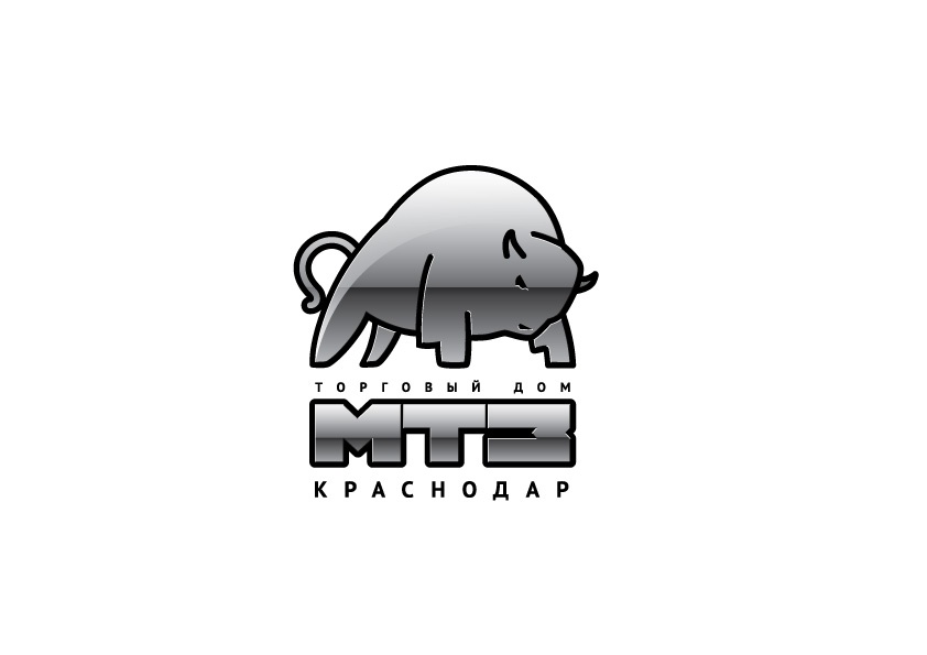 MTZ Krasnodar - image 4